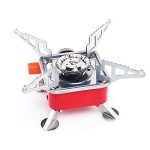 Portable Gas Stove