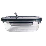 GLASS LUNCH BOX (1 PIS)