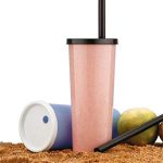 Juicer Bottle With Straw (2Pis Set)