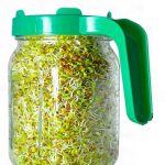 SPOUT MAKER JAR 720ML