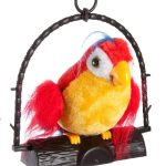 TALK BACK PARROT