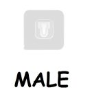 ONE SIDE WALL Sticker (1 PCS)  MALE