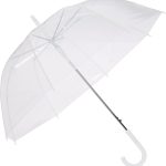 Transparent Umbrella