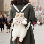 CAT SHAPE BAG