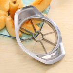 Apple Cutter